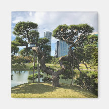 Árvore de pinos pretos exclusiva