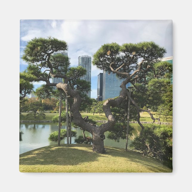 Imã Árvore de pinos pretos exclusiva (Frente)