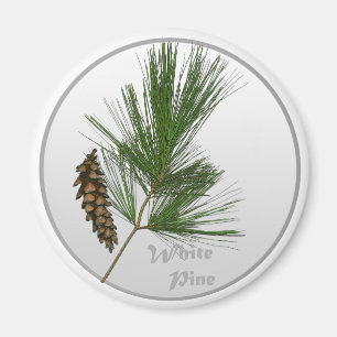 Imã Árvore de White Pine