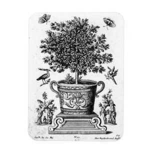 Ímã Árvore decorativa em uma urna em um palco pequeno