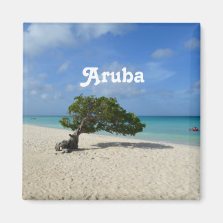 Imã Árvore Divi Aruba