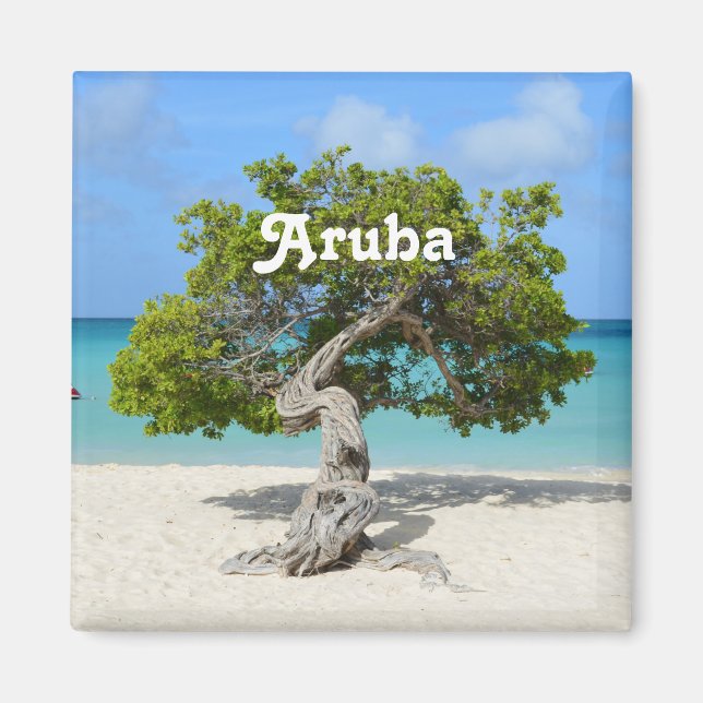 Imã Árvore Divi Solo em Aruba (Frente)