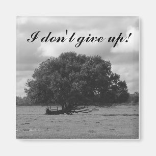 Imã Árvore do ímã do quadrado da vida