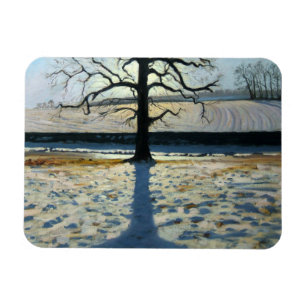 Ímã Árvore e Shadow Calke Abbey Derbyshire