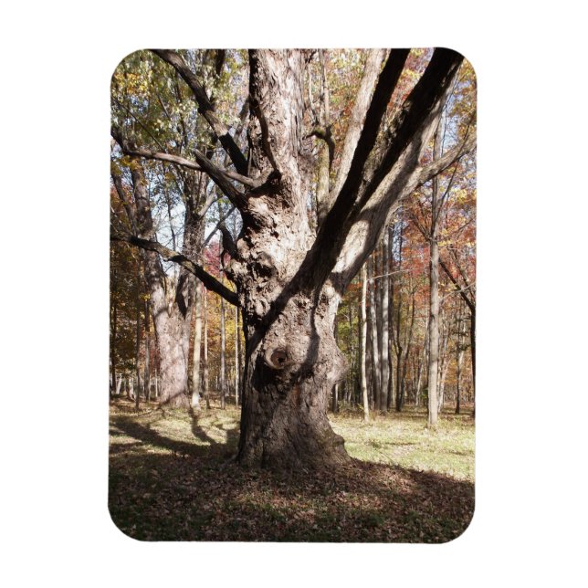 Ímã Árvore Estranha (Vertical)