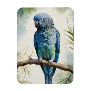 Ímã Árvore Eucalyptus de periquito azul de aquarela fl