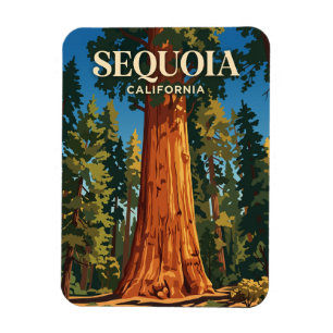Ímã Árvore General Sherman, Parque Nacional Sequoia EU