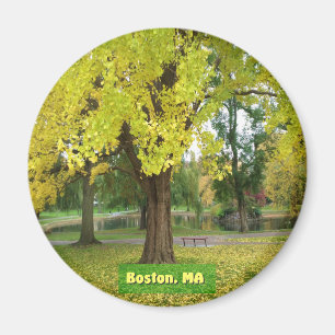 Imã Árvore Gingko Amarela