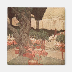 Imã Árvore Israel da arte de Gethsemane do jardim de