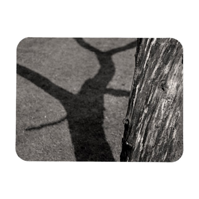 Ímã árvore morto (Horizontal)