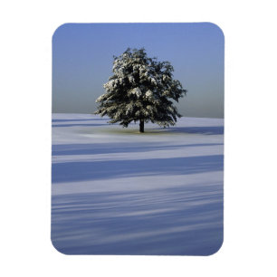 Ímã Árvore na paisagem coberto de neve