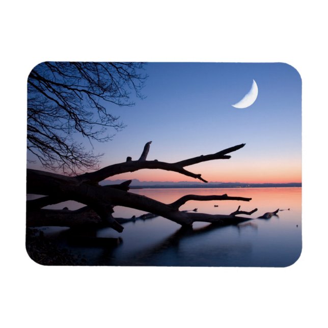 Ímã Árvore no Lago Starnberg | Muensing Baviera Aleman (Horizontal)