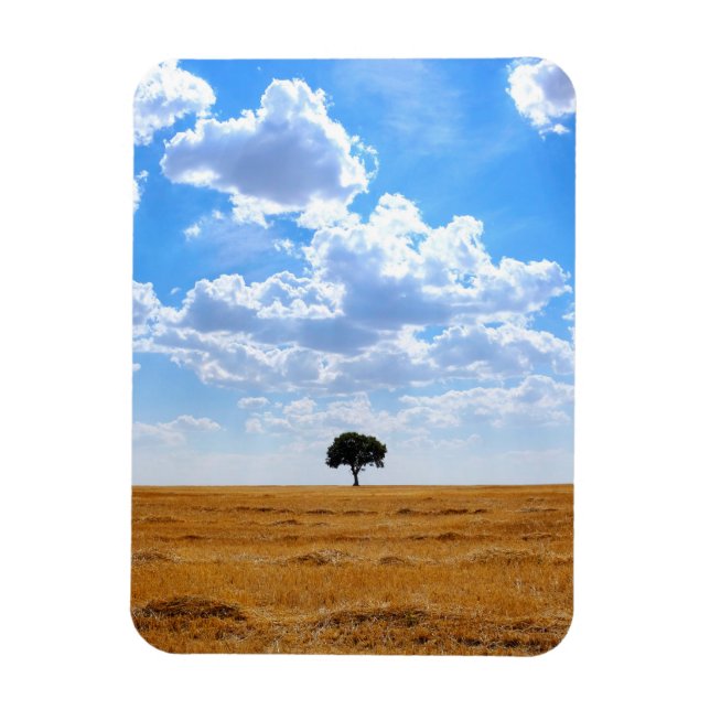 Ímã Árvore num campo de trigo colhido (Vertical)