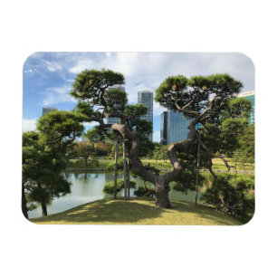 Ímã Árvore Pine Preta Exclusiva