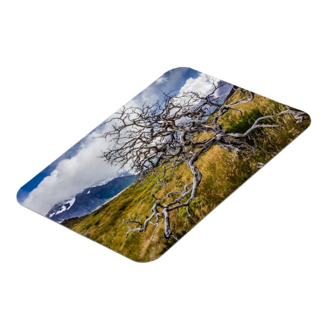 Ímã Árvore queimada, Torres del Paine, Chile (Left Side)