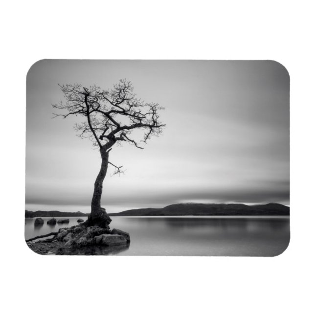 Ímã Árvore solitário (Horizontal)