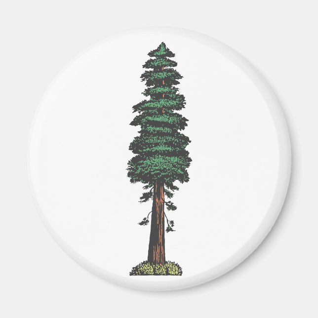 Imã Árvore tree sequoia (Frente)