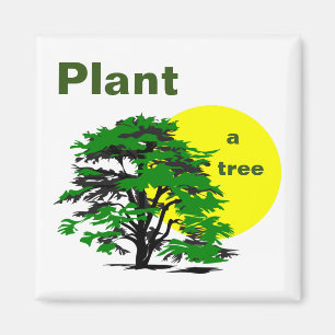Imã Árvore Verde e Sol Amarelo, Plante uma Árvore