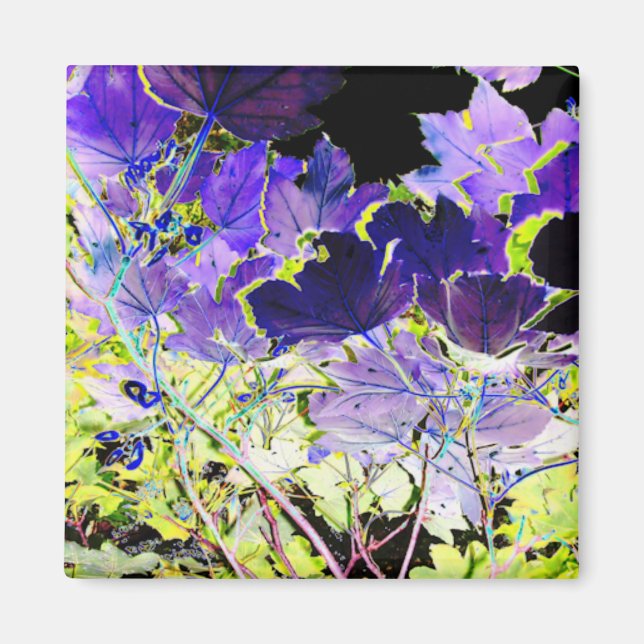 IMÃ ÁRVORES (Frente)