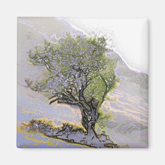 IMÃ ÁRVORES (Frente)