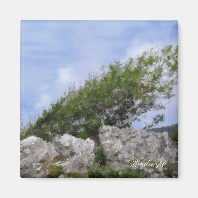 IMÃ ÁRVORES (Frente)