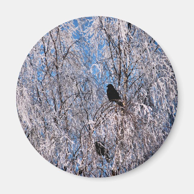 IMÃ ÁRVORES (Frente)