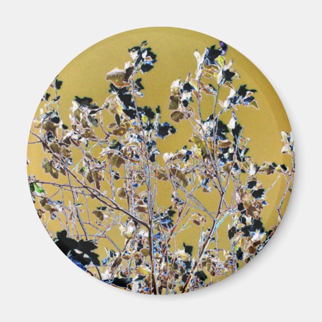 IMÃ ÁRVORES (Frente)