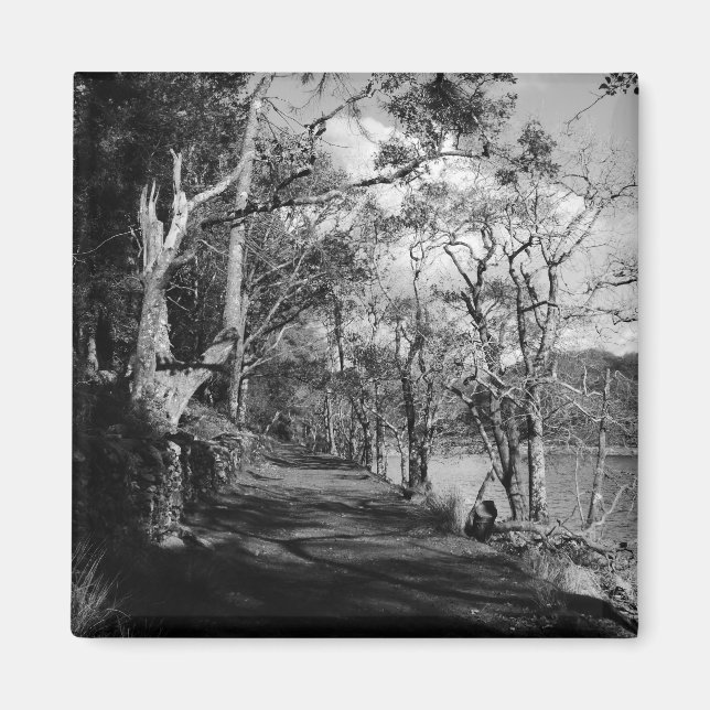 IMÃ ÁRVORES (Frente)