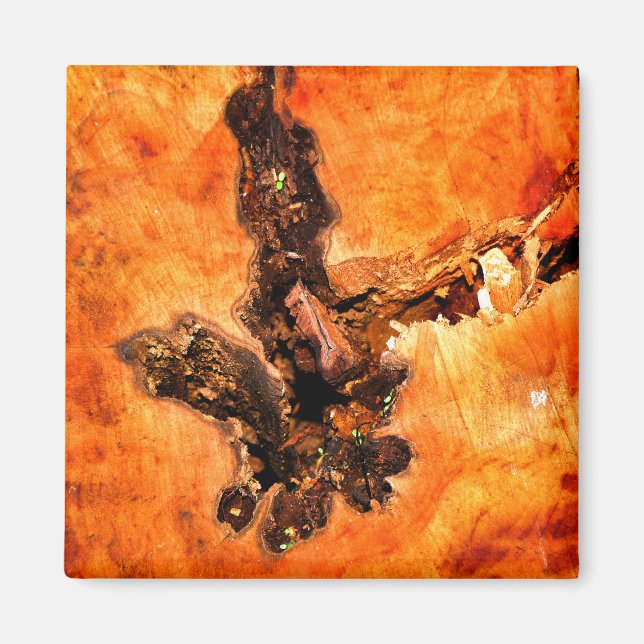 IMÃ ÁRVORES (Frente)