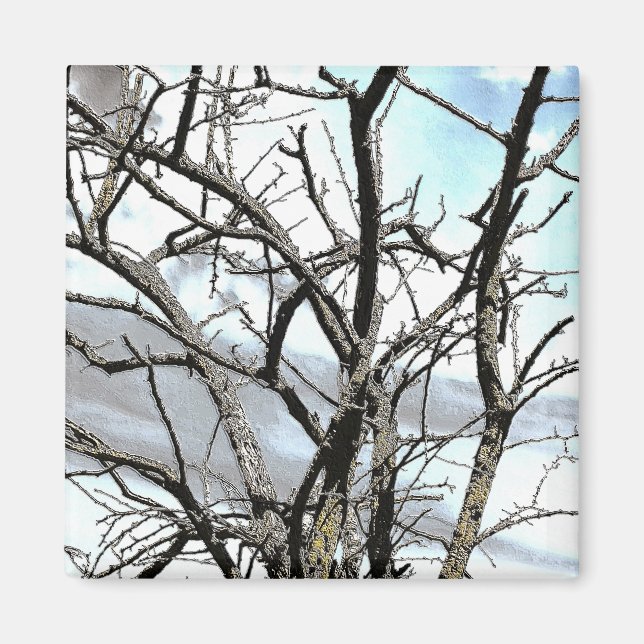 IMÃ ÁRVORES (Frente)