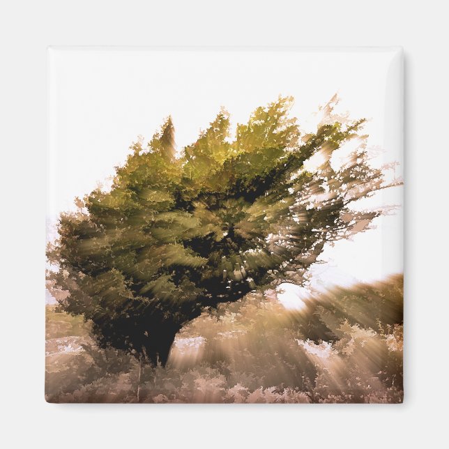 IMÃ ÁRVORES (Frente)