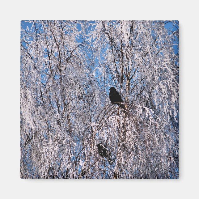 IMÃ ÁRVORES (Frente)