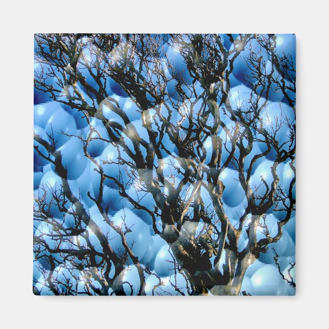 IMÃ ÁRVORES (Frente)