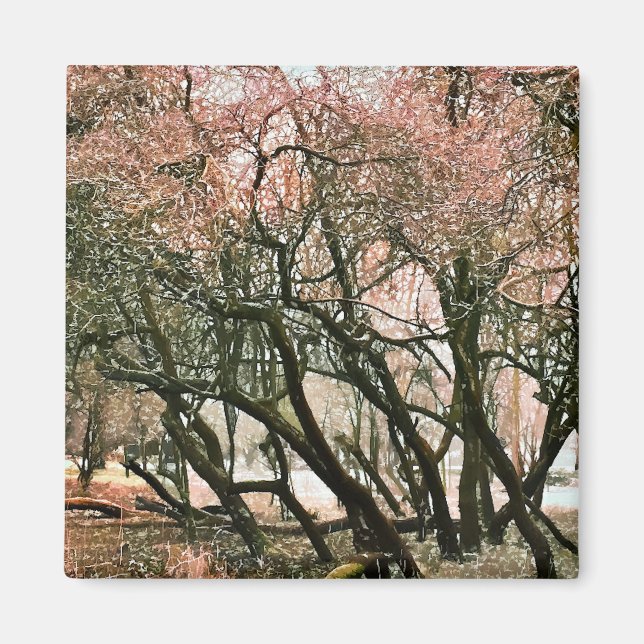 IMÃ ÁRVORES (Frente)