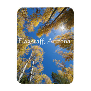 Ímã Árvores aspálticas, Arizona