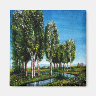 IMÃ ÁRVORES BIRCH NA TOSCANA