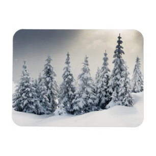 Ímã Árvores cobertas com o Hoarfrost e a neve