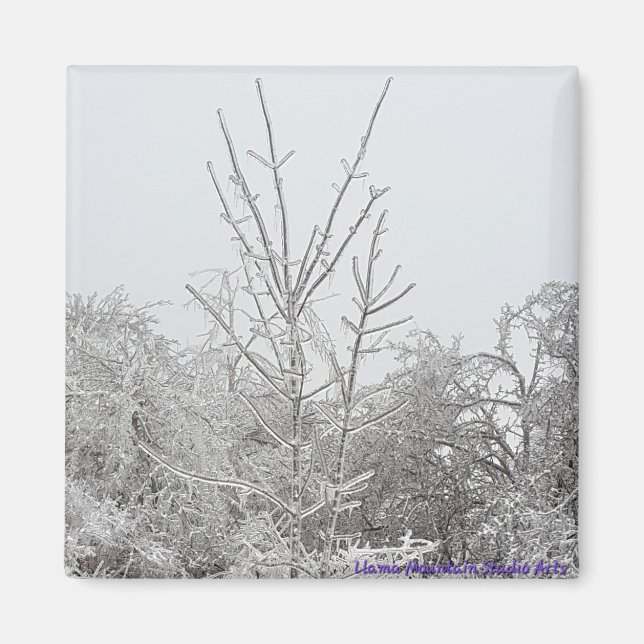 Imã Árvores cobertas por neve e gelo #1 ímã (Frente)