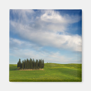 Imã Árvores de Cypress no ímã de Toscânia