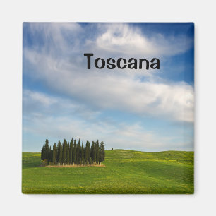 Imã Árvores de Cypress no ímã do texto de Toscânia