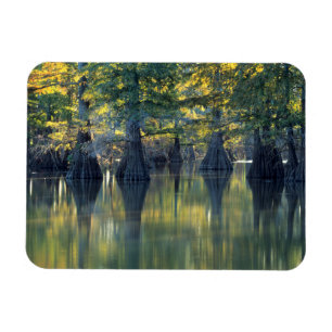 Ímã Árvores de Imprensa Cálidas Lago de ferradura, I