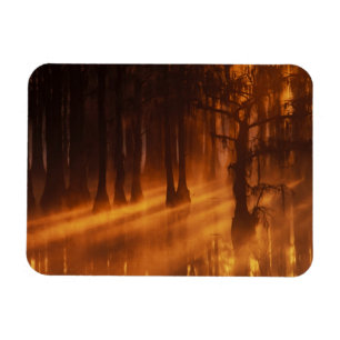 Ímã Árvores de Impressão   Parque Estadual George Smit