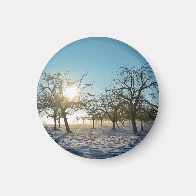 Imã Árvores de inverno ao nascer do sol (Frente)