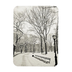 Ímã Árvores de inverno cobertas em neve