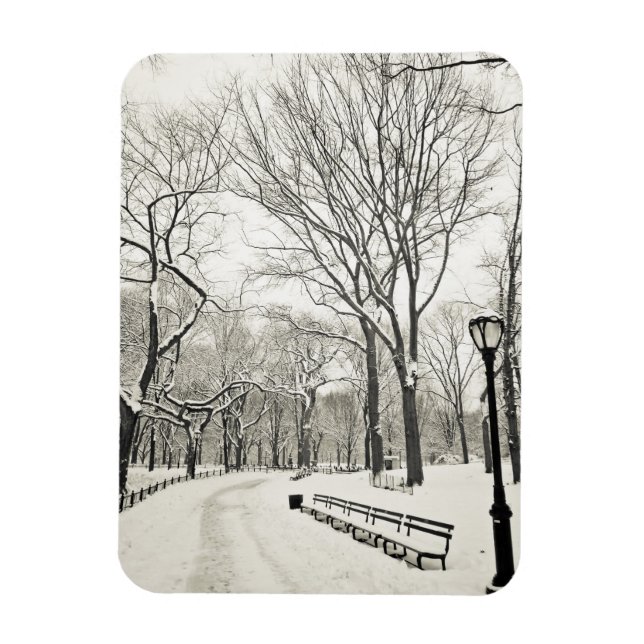 Ímã Árvores de inverno cobertas em neve (Vertical)