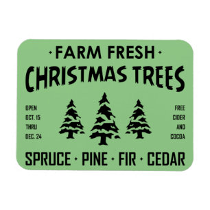 ÍMÃ ÁRVORES DE NATAL FRESCO FAZENDA