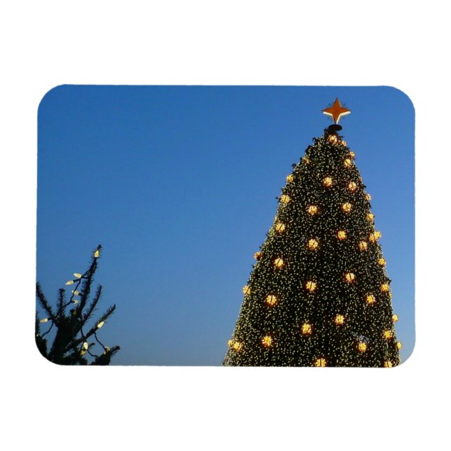 Ímã Árvores de Natal Grandes e Pequenas I (Horizontal)