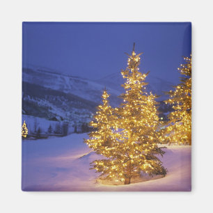 Imã Árvores de Natal, Park City, montanhas de Wastch,