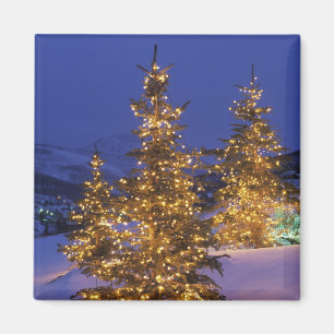 Imã Árvores de Natal, Park City, montanhas de Wastch,