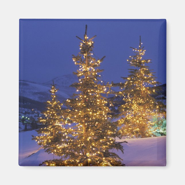 Imã árvores de Natal, Park City, Wastch Mountains, 2 (Frente)